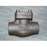 API 602 Standard Forged Steel NPT /SW /BW Swing Check Valve