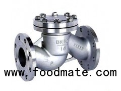 API6D Cast Steel/Stainless Steel Flange Connnection Lift Check Valve