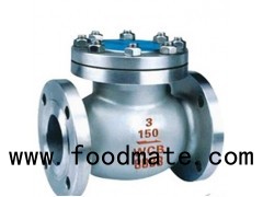 API /DIN /JIS Standard Standard Cast Steel Flange/ Butt Weld Swing Check Valve