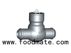 Forged Steel Butt Weld Full Port Pressure Seal Swing Check Valve