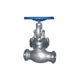 Cast Steel BB OS&Y BW Handwheel Operated Globe Valve