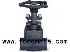 A105 Forged Steel Smal Size NPT /SW /BW Globe Valve