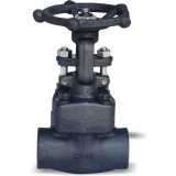 A105 Forged Steel Smal Size NPT /SW /BW Globe Valve