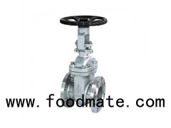 API 600 Standard Double Disc Stainless Steel Handwheel / Electric / Penumatic Webge Gate Valve