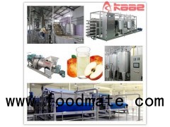 Turnkey Project Industrial Automatic NFC Apple And Pear Cloudy Juice Processing Line