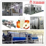 Turnkey Project Industrial Automatic NFC Apple And Pear Cloudy Juice Processing Line