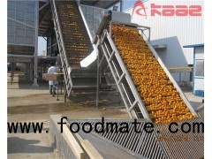 Stainless Steel Fruit And Vegetable Scraper Paddle Lifting Elevator Conveyor