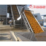 Stainless Steel Fruit And Vegetable Scraper Paddle Lifting Elevator Conveyor