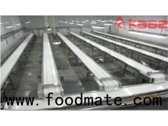 Stainless Steel Fruit And Vegetable Belt Conveyor