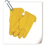 Motorcycle Glove / Bike Glove / Driving Glove / Auto Glove