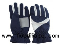 Now Arrive Hot Selling Winter Warm Sport Ski Gloves