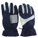 Now Arrive Hot Selling Winter Warm Sport Ski Gloves