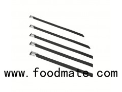 Plastic Sprayed Stainless Steel Cable Tie