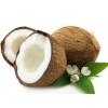 coconut fruit powder