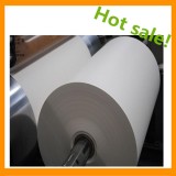 Grade A PE Coated Paper Cup Paper With Printing In Roll