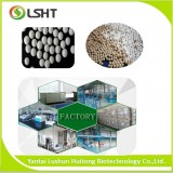 Activated Alumina Dechlorination Agent