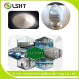 Ammoxidation Catalyst (Titanium Silicon Molecular Sieve TS-1)