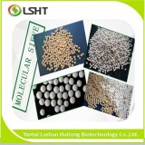 Molecular Sieve