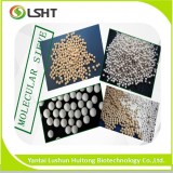 Molecular Sieve