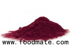 Beet Root Juice Powder(Betanin 0.5 – 1%) – Food Colour