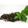GREEN TEA EXTRACT ( EGCG 40%-60% , POLYPHENOLS 95%) – ANTIOXIDANTS