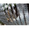 Galvanized Razor Wire