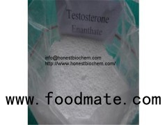 Anabolic Steroids Testosterone Enanthate Testosterone Enanthate Powder