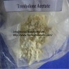 Anabolic Steroids Trenbolone Enanthate Trenbolone Enanthate Powder