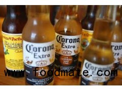 Corona Beer for export