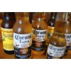 Corona Beer for export