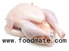 Grade A Frozen Chicken Feet, Paws, Breast, Whole Chicken, Legs and Wings