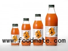 Carrot Juice Concentrate High Quality