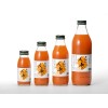 Carrot Juice Concentrate High Quality