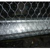 Stainless Steel Rating Chicken Wire Mesh