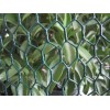 Black Vinyl Coating Galvanized Chicken Wire