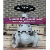 Non-Return Globe Valves