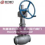 BS1873 Cast Steel Globe Valves