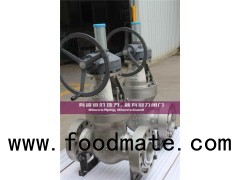 Stainless Steel Wedge Gate Valves