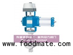 V Port Segmented Control Ball Valves