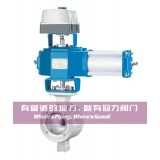 V Port Segmented Control Ball Valves