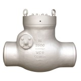 High Pressure High Temperature Pressure Seal SWING CHECK VALVE