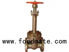 Stainless Steel Extended Bonnet Cryogenic Gate Valve