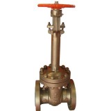 Stainless Steel Extended Bonnet Cryogenic Gate Valve