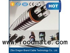 All Aluminum Alloy Conductor Overhead Power Cable