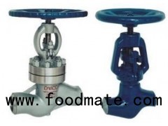 API Standard Stainless Steel Butt Weld / Flange Reduce Port Wrench Operated Globe Valve