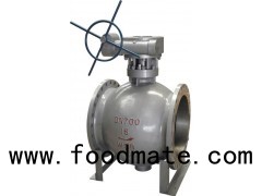 Stainless Steel Soft Seal Flange Reduced /Full Port Gear Operated Eccentric Half Ball Valve