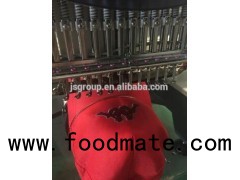 Single 1 Head Embroidery Machine for Cap & T Shirt Embroidery