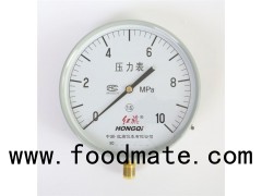 (Y-200) 200mm Economical Lower Mount Steel Case Manometer ZG1/2'',G1/2'',1/2