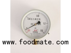 (Y-150、Y-150Z、Y-150T、Y-150ZT) 150mm Economical Lower Mount/Back Mount /Flanged Steel Case Pressure G