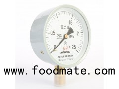 (Y-100、Y-100Z、Y-100T、Y-100ZT) 100mm Economical Lower Mount/Back Mount /Flanged Steel Case Manometer